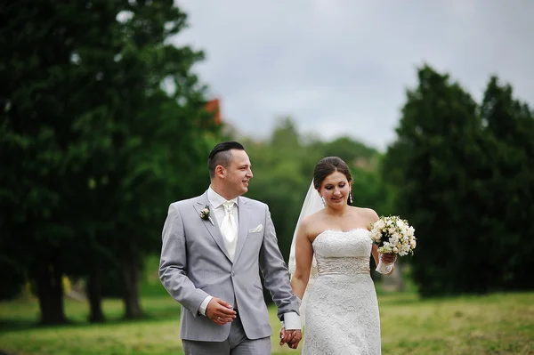 Verliebtes Hochzeitspaar spaziert im Park — Stockfoto