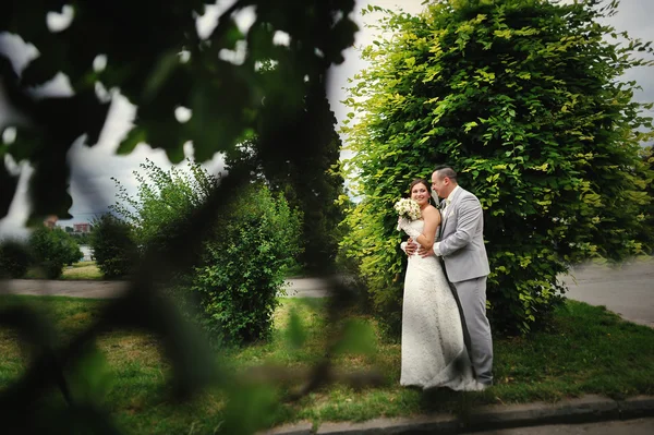 Bröllop par i kärlek promenader i parken — Stockfoto