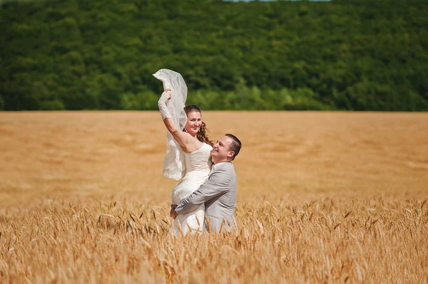 Mariage couple aimer sur blé — Photo