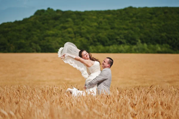 Bruidspaar liefdevolle op tarwe — Stockfoto