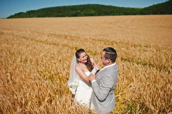 Mariage couple aimer sur blé — Photo