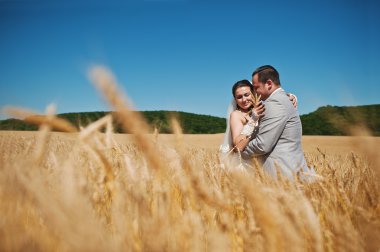 buğday üzerinde sevgi dolu evlilik çift