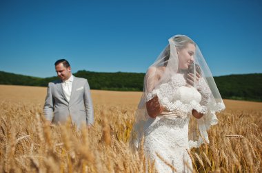 buğday üzerinde sevgi dolu evlilik çift