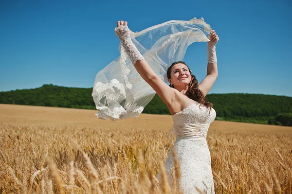 Mariée jouer avec voile sur le vent au champ de blé — Photo