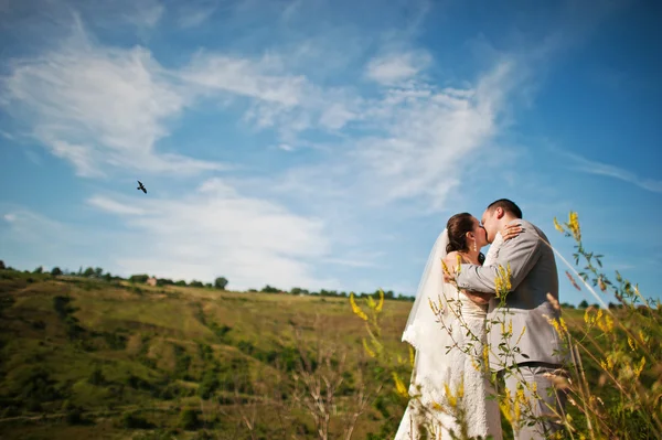 Bruidspaar op het schilderachtige landschap — Stockfoto