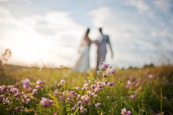 Newlyweds on sunset with flowers — Stock Photo, Image