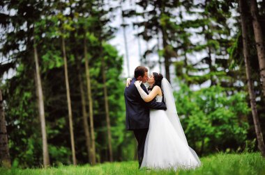 Düğün iki çam ormanı içinde