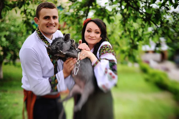 Young couple on national dress with a little pig — Stock Photo, Image