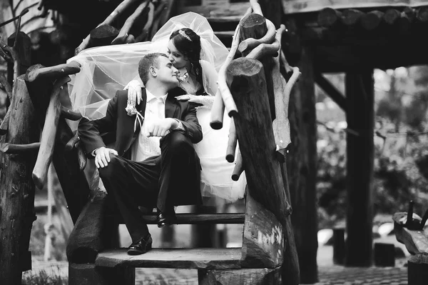 Düğün çift Ahşap merdiven üzerinde — Stok fotoğraf