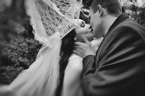 Acabei de casar sob guarda-chuva de casamento — Fotografia de Stock