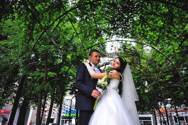 Newlyweds under the arch of green leaves — Stock Photo, Image