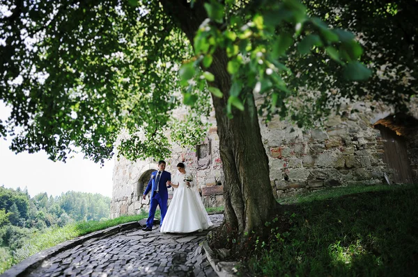 Svatební pár pod stromem — Stock fotografie