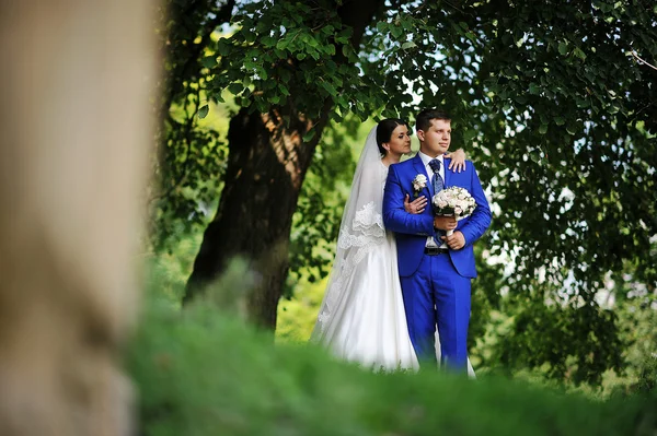 Casal de casamento sob a árvore — Fotografia de Stock