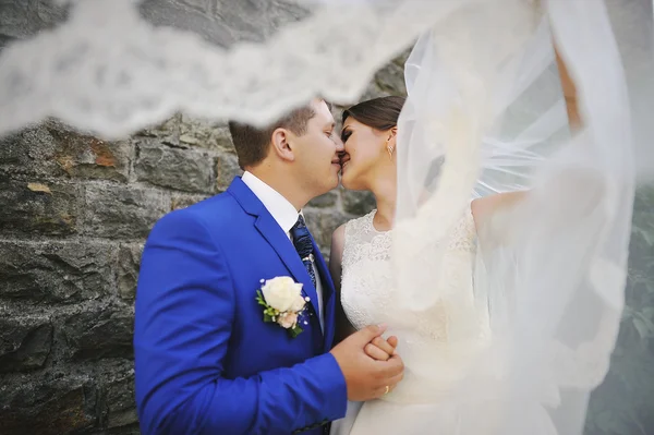 Amante boda pareja besos — Foto de Stock