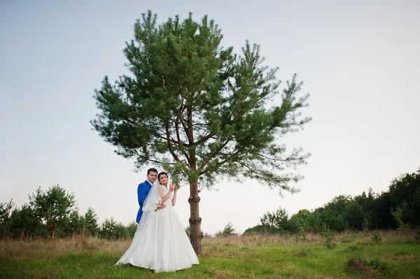 Jovens recém-casados apaixonados — Fotografia de Stock