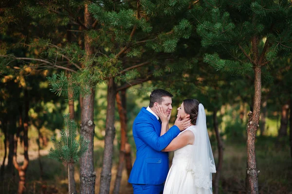 Jóvenes recién casados enamorados —  Fotos de Stock