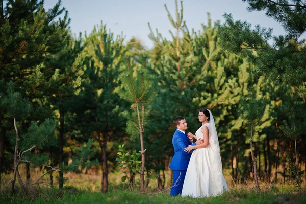 Jóvenes recién casados enamorados —  Fotos de Stock