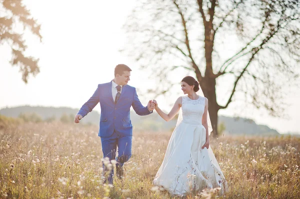 Jóvenes recién casados enamorados —  Fotos de Stock