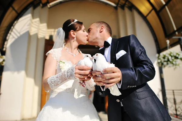 Pombas em um casamento — Fotografia de Stock