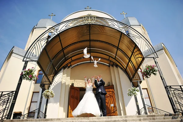 Doves at a wedding — Stock Photo, Image