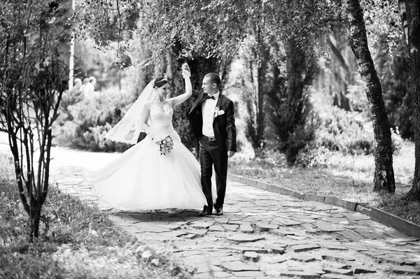 Just married in love walking at the park — Stock Photo, Image