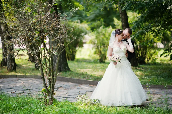 Net getrouwd in liefde wandelen in het park — Stockfoto