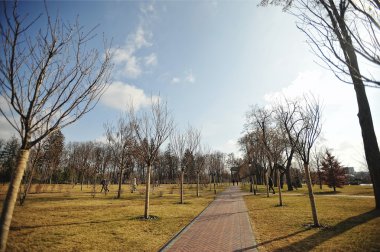 Novi Petrivtsi, Ukrayna - Şubat 2014: ex-presid köşkü