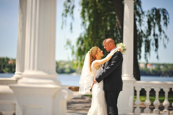 Apenas casal andando apaixonado sob arco de amantes — Fotografia de Stock