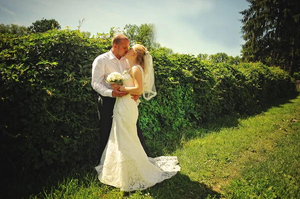 Pareja casada caminando enamorada —  Fotos de Stock