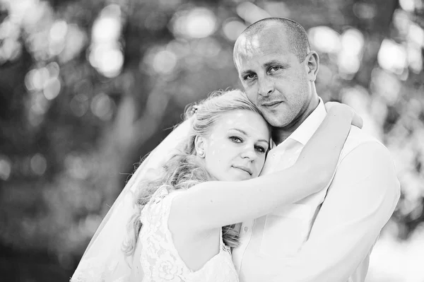 Just married couple walking in love — Stock Photo, Image