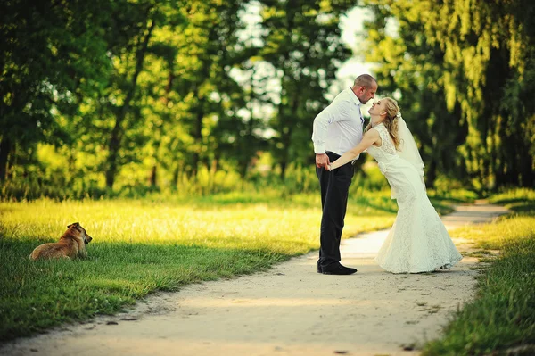 Appena sposati coppia che cammina in amore — Foto Stock