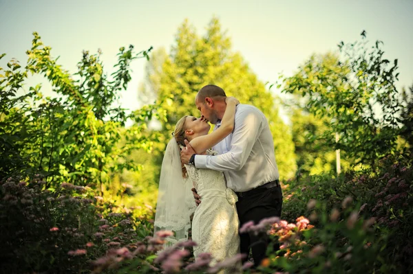 Juste un couple marié marchant amoureux — Photo