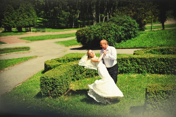 Just married couple walking in love — Stock Photo, Image