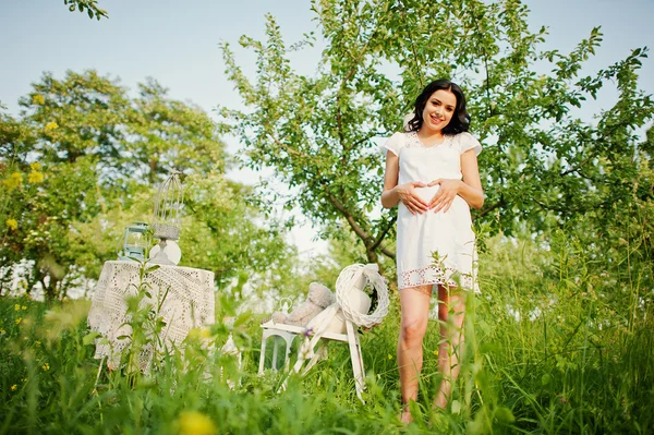 Zwangere prachtige brunette vrouw op het veld met tarwe en pop — Stockfoto