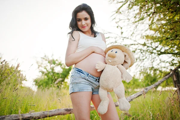 Pregnant gorgeous brunette woman on the field with wheat and pop — Stock Photo, Image