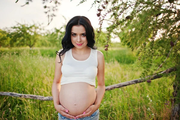 Incinta splendida donna bruna sul campo con grano e pop — Foto Stock