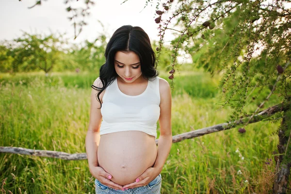 Incinta splendida donna bruna sul campo con grano e pop — Foto Stock