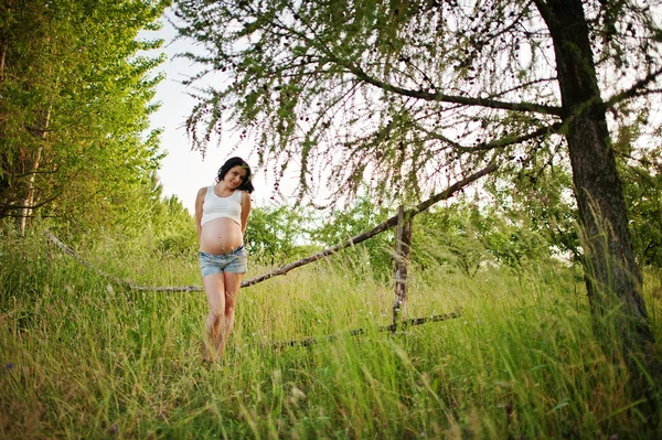 Incinta splendida donna bruna sul campo con grano e pop — Foto Stock