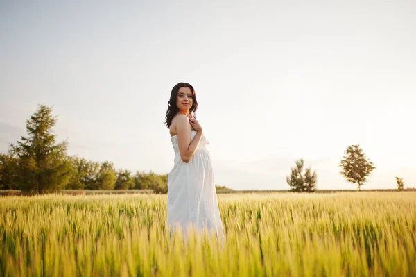 Zwangere prachtige brunette vrouw op het veld met tarwe en pop — Stockfoto