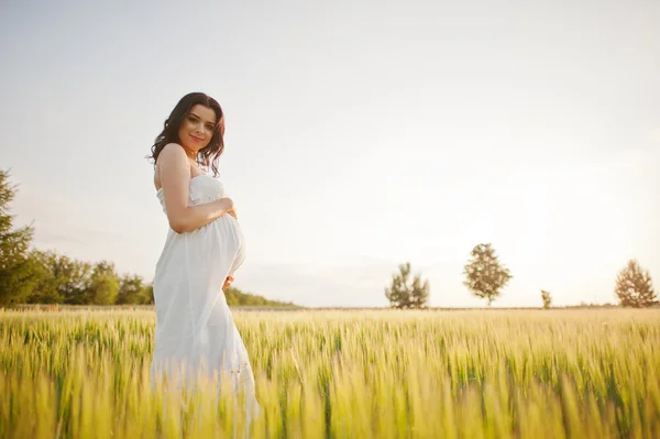 Schwangere wunderschöne brünette Frau auf dem Feld mit Weizen und Knall — Stockfoto