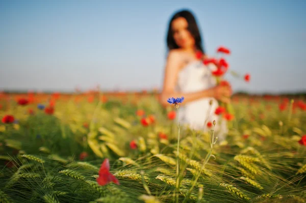 Femme brune enceinte magnifique sur le terrain avec du blé et de la pop — Photo