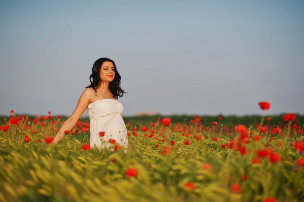 A mező a búza és a pop terhes gyönyörű barna nő — Stock Fotó