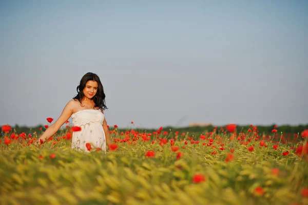 Schwangere wunderschöne brünette Frau auf dem Feld mit Weizen und Knall Stockfoto