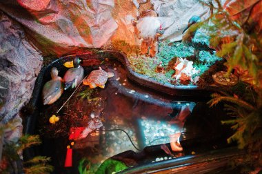 Noel doğumu beşik setleri