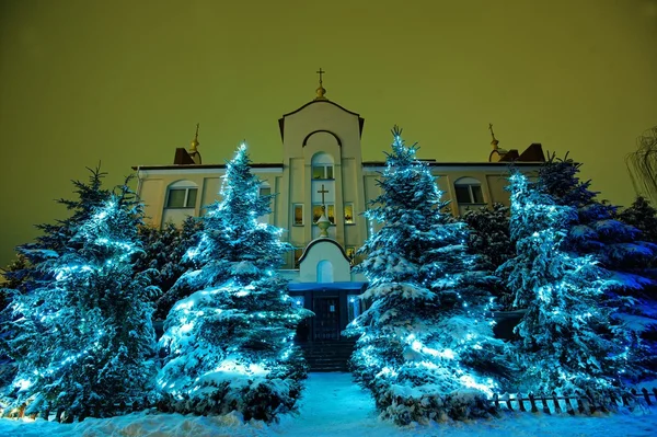 Arbres de Noël avec lumières — Photo