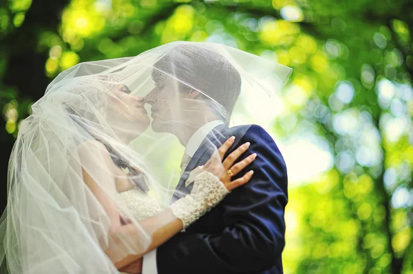 Net getrouwd in liefde — Stockfoto