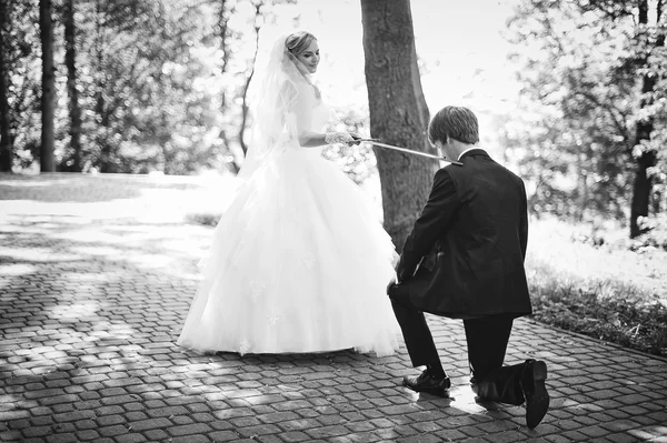 Wedding knights — Stock Photo, Image