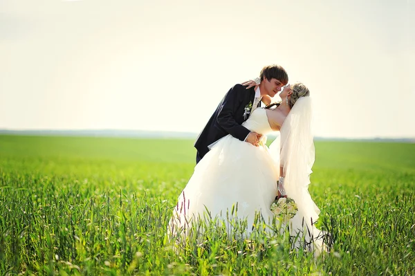 Just married in love — Stock Photo, Image