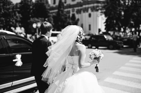 Casal de casamento apaixonado — Fotografia de Stock