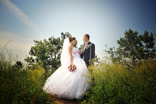 Casamento casal apaixonado em seu dia feliz — Fotografia de Stock